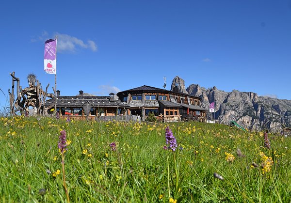 Photo exteriors in summer Piz Arlara - Alpine Restaurant