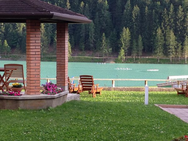 Photo of the garden Auronzo di Cadore
