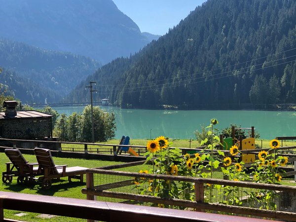 Photo of the garden Auronzo di Cadore