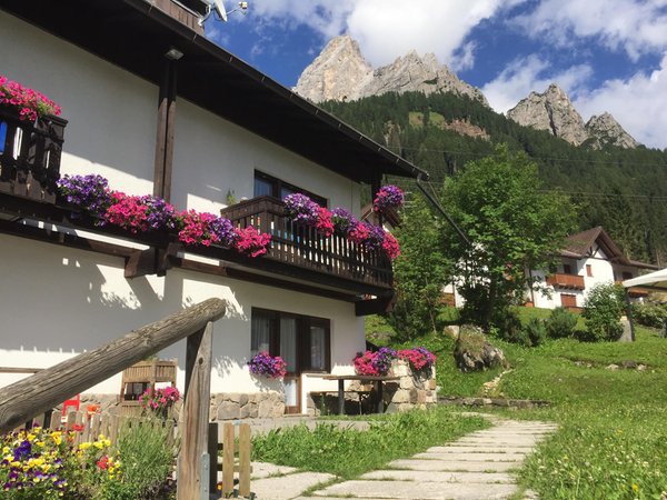 Foto estiva di presentazione Casa Palumba - Appartamento