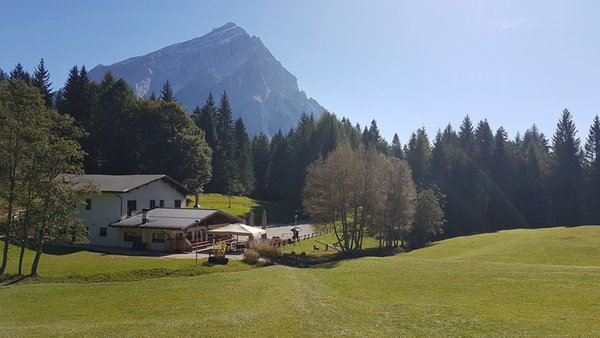 Foto esterno in estate Alpe di Senes
