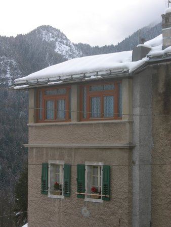 Foto esterno in inverno Airone