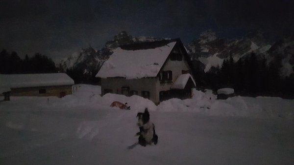 Foto esterno in inverno Ciauta