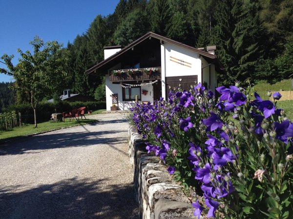 Foto esterno in estate Orizzonti Montani
