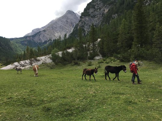 Attività estate Cortina d'Ampezzo e dintorni