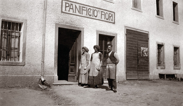 Bakery Fiori San Vito di Cadore and surroundings