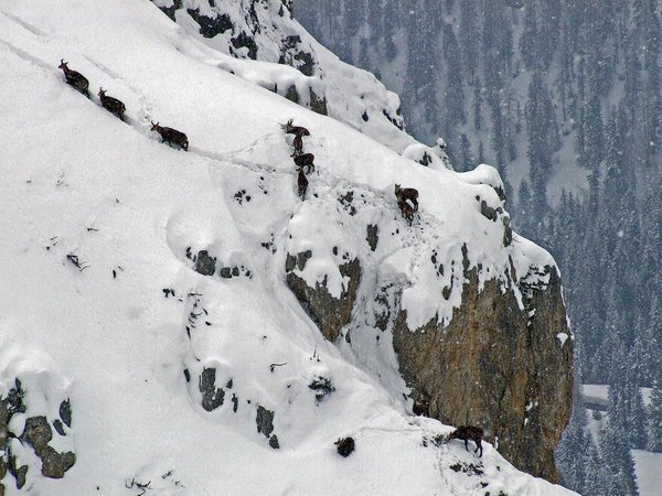 Gallery Cortina d'Ampezzo inverno