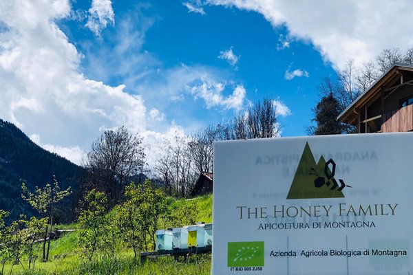 Foto esterno in estate Apicoltura The Honey Family