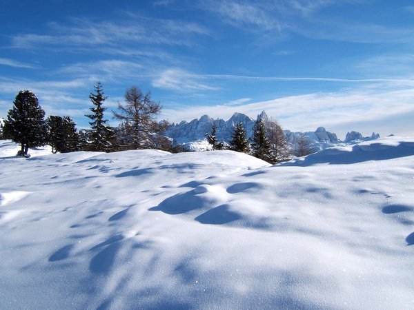 Gallery inverno