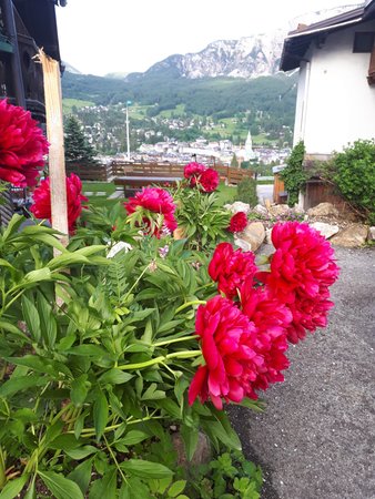 Foto di alcuni dettagli Suite Gilardon - Tofana