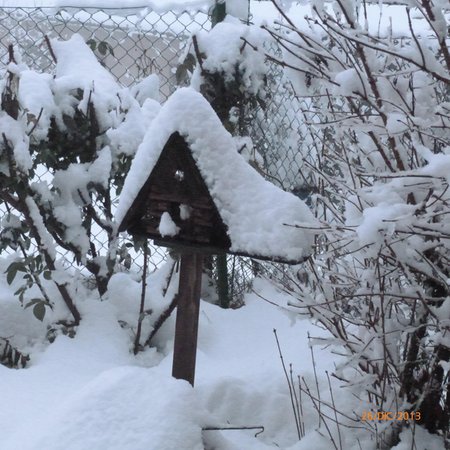 Gallery inverno