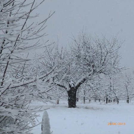 Gallery inverno