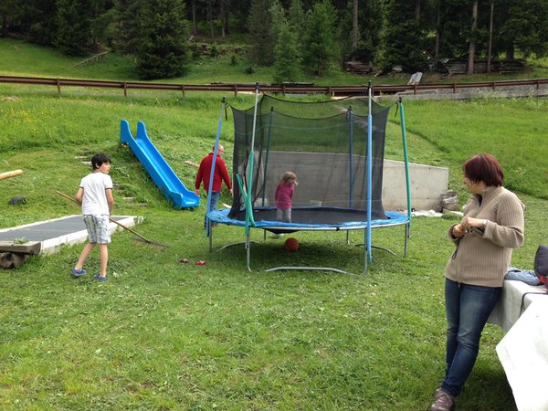 Photo of the garden Valfurva - S. Caterina (Bormio and surroundings)