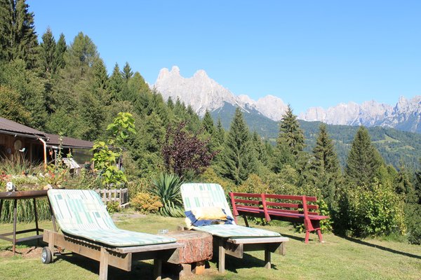 Foto vom Garten Transacqua (Primiero)