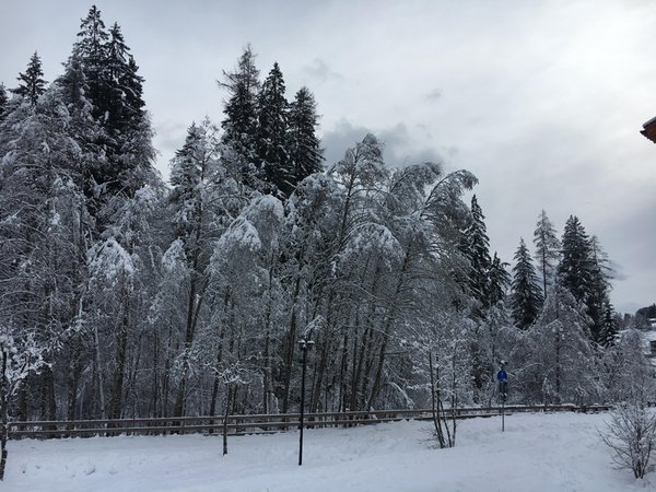 Gallery inverno