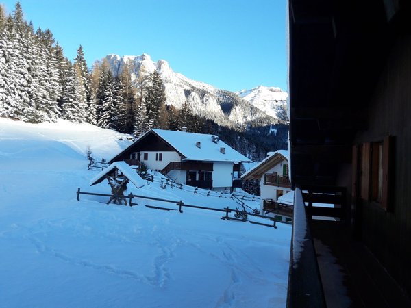 Aussicht vom Betrieb