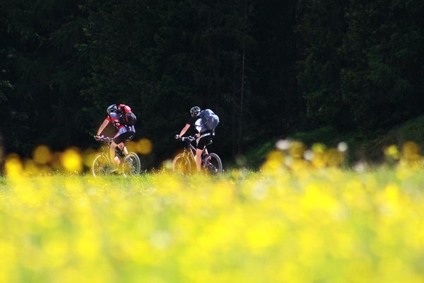Attività estate Alta Badia
