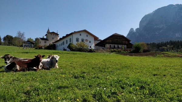 Foto Außenansicht Hofschänke Zimmerlehen