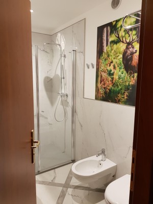 Foto del bagno Hotel Moena