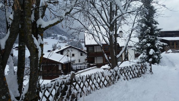 Photo exteriors in winter ACADEMIA