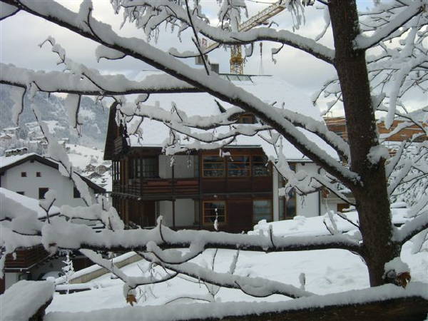 Photo exteriors in winter ACADEMIA