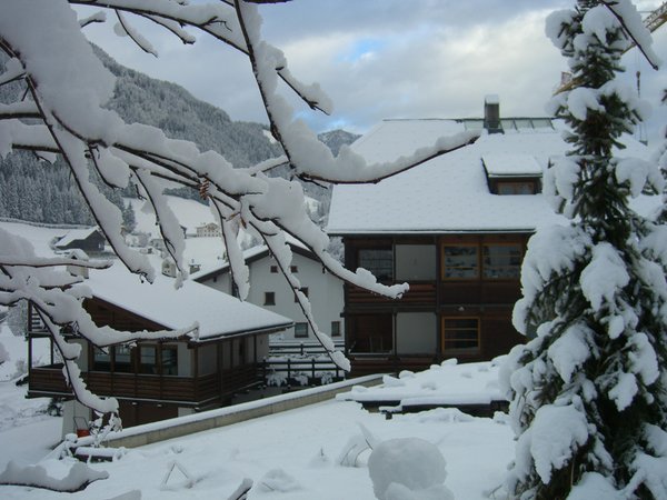 Photo exteriors in winter ACADEMIA