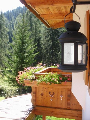 Photo of some details Cordella