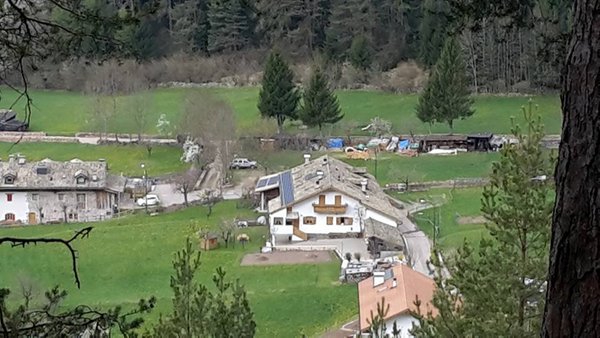 La posizione Appartamento Aguai Carano (Val di Fiemme)