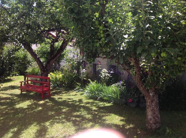 Photo of the garden Val di Zoldo - Forno