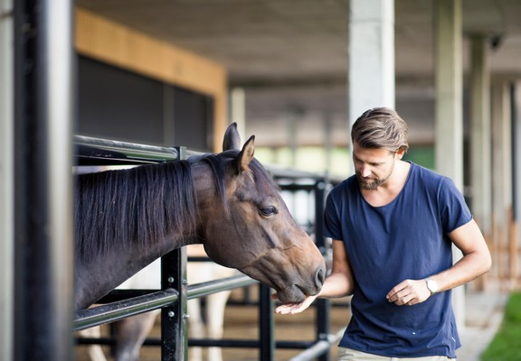 Photo of the animals