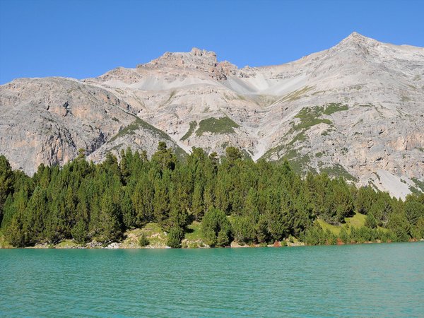 Photo gallery Valtellina summer