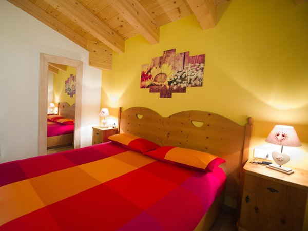Photo of the room Apartment Casa Reit