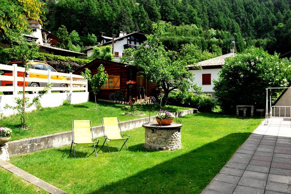 Photo of the garden Bormio