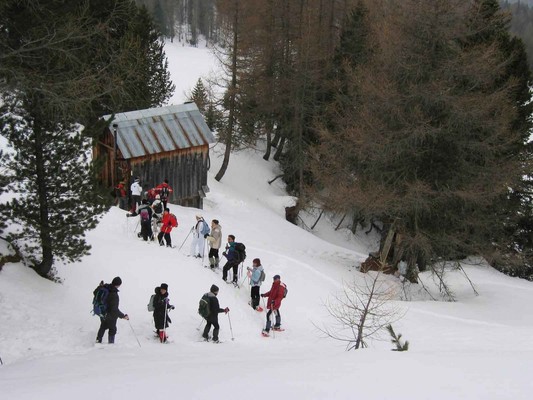Attività Cortina e dintorni