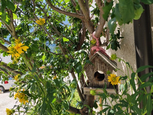 Photo of the garden Badia - San Leonardo