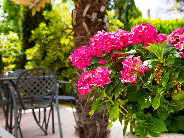 Foto einiger Details Villa Laurus