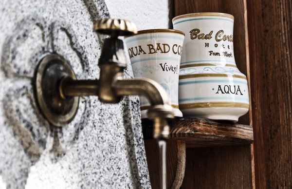 Photo of some details Aqua Bad Cortina - BIOhotel & thermal baths