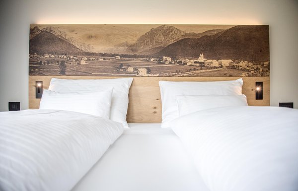 Photo of the room Hotel Condor