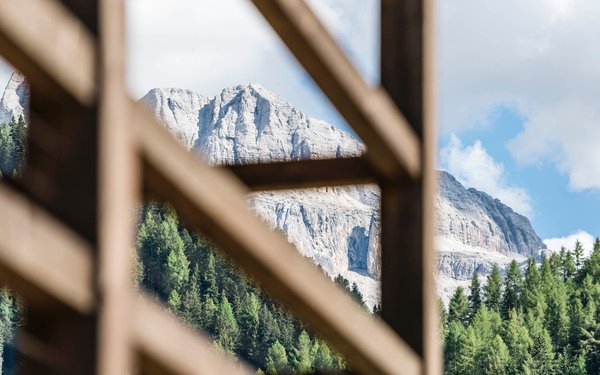 Bildergalerie Sommer