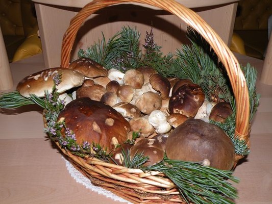 Piccolo Hotel Claudia San Vigilio di Marebbe / Sankt Vigil in Enneberg and surroundings