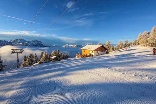 Photo exteriors in winter Mountain Hotel Panorama