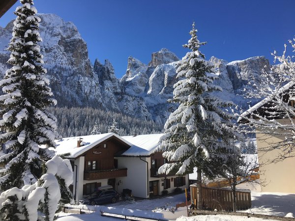 Foto esterno in inverno Fiordalisi