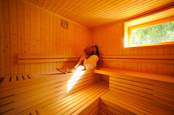 Foto della sauna San Vigilio