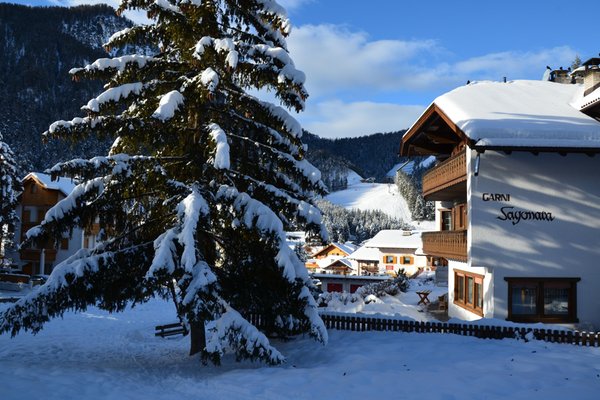 Photo exteriors in winter Sayonara