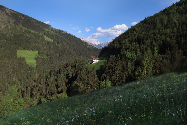 Position Farmhouse Hotel Lüch da Grones Longega / Zwischenwasser (San Vigilio di Marebbe / Sankt Vigil in Enneberg)