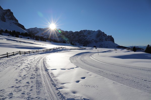 Photo gallery winter