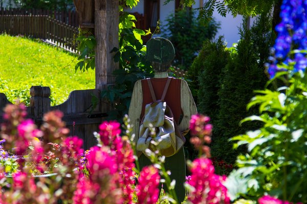 Photo of the garden San Vigilio / St. Vigil