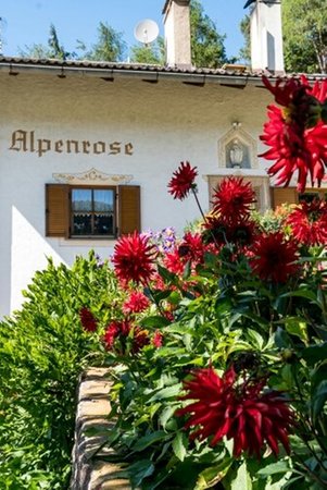 Foto esterno in estate Haus Alpenrose