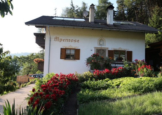 Foto esterno Appartamenti Haus Alpenrose