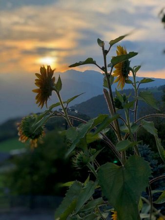 Bildergalerie Sommer